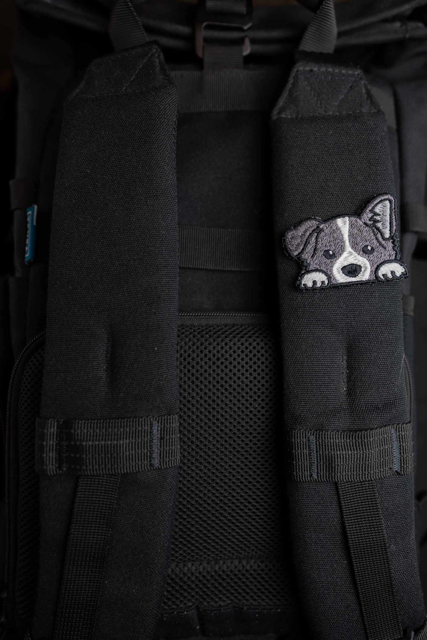 Hello | Pin | Patch