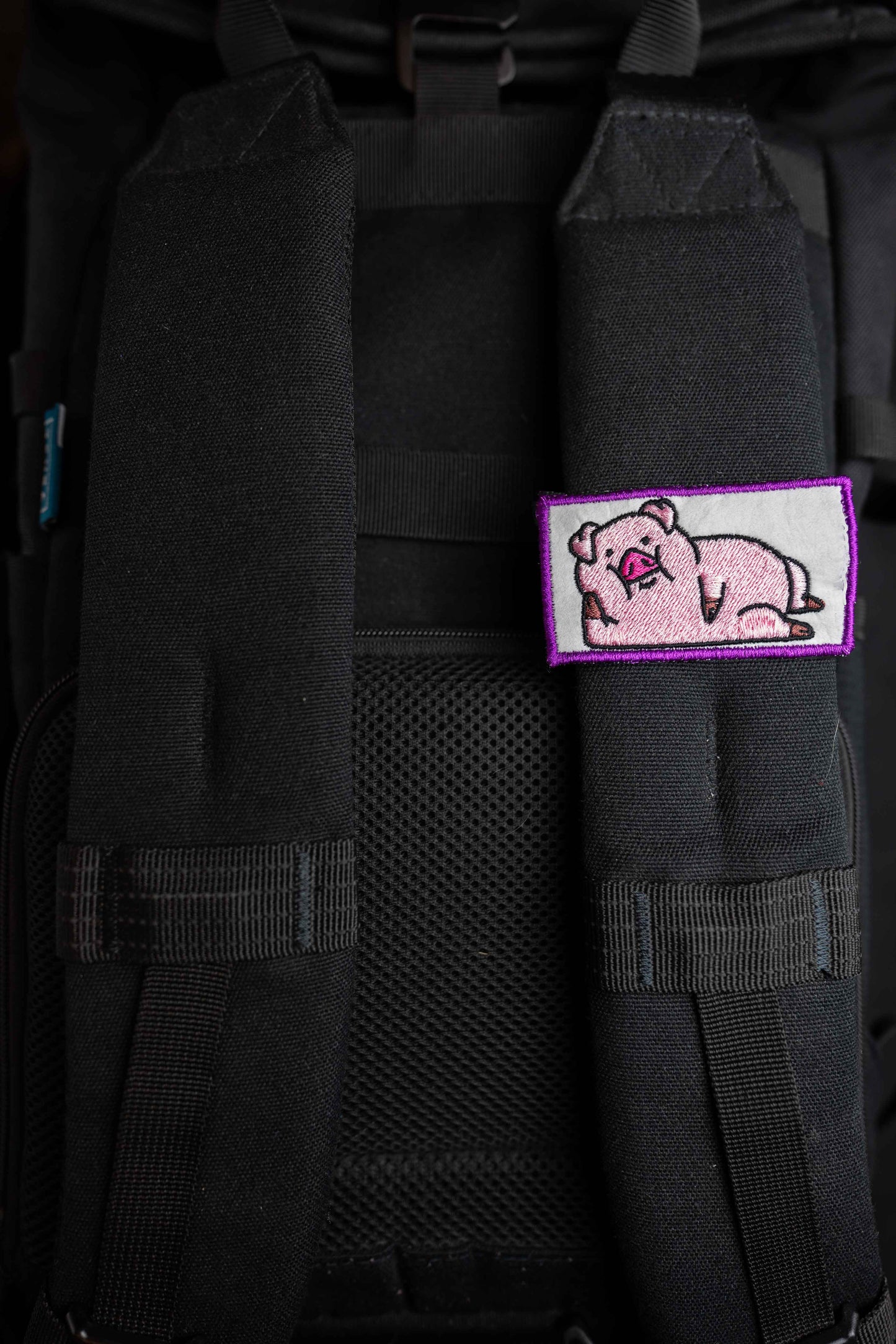 Piggy | Pin | Patch