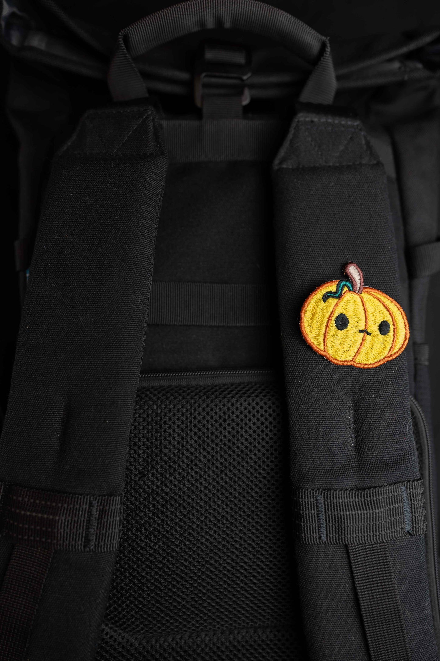 Pumpkin | Pin | Patch