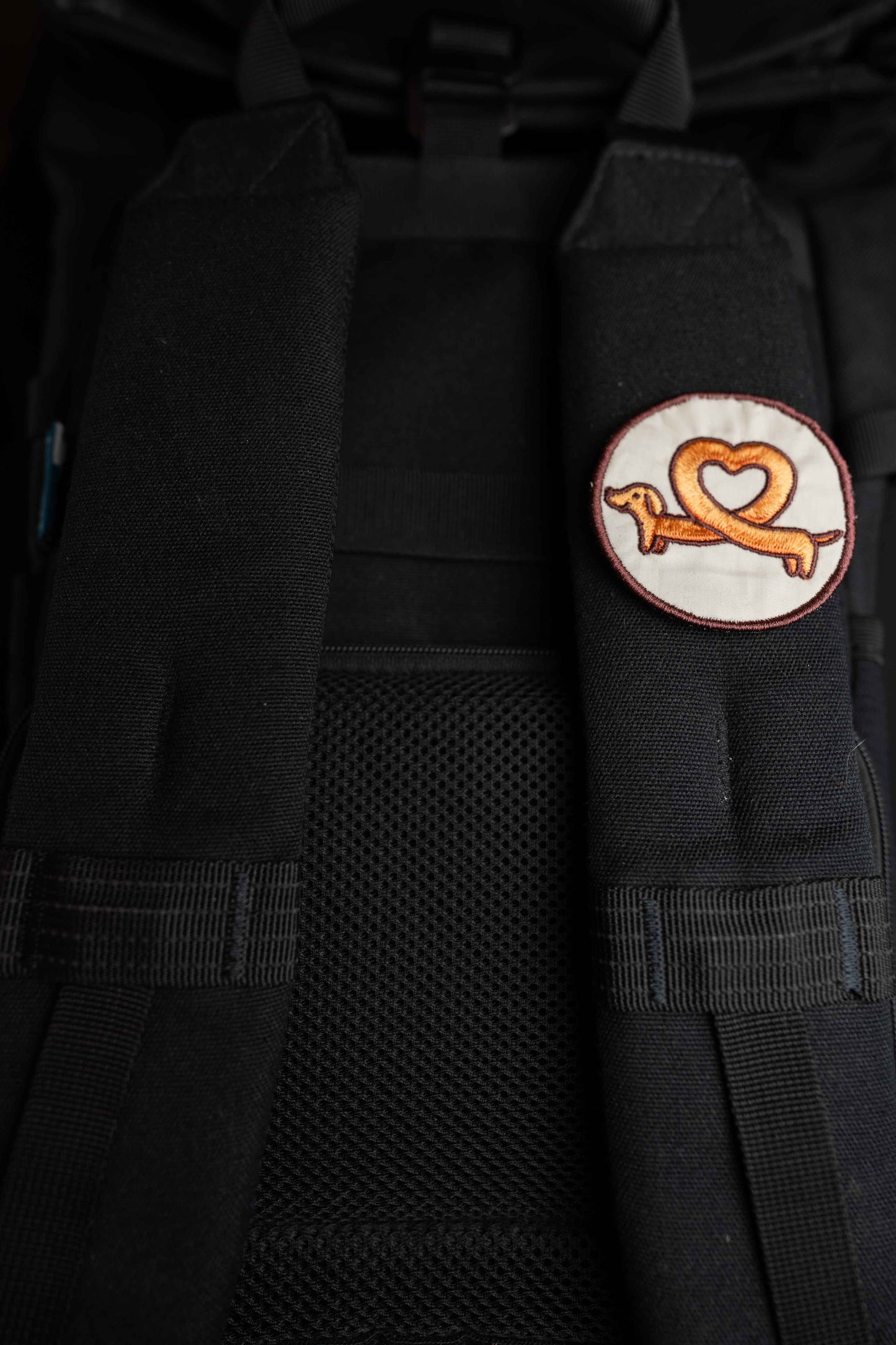 Covridog | Pin | Patch