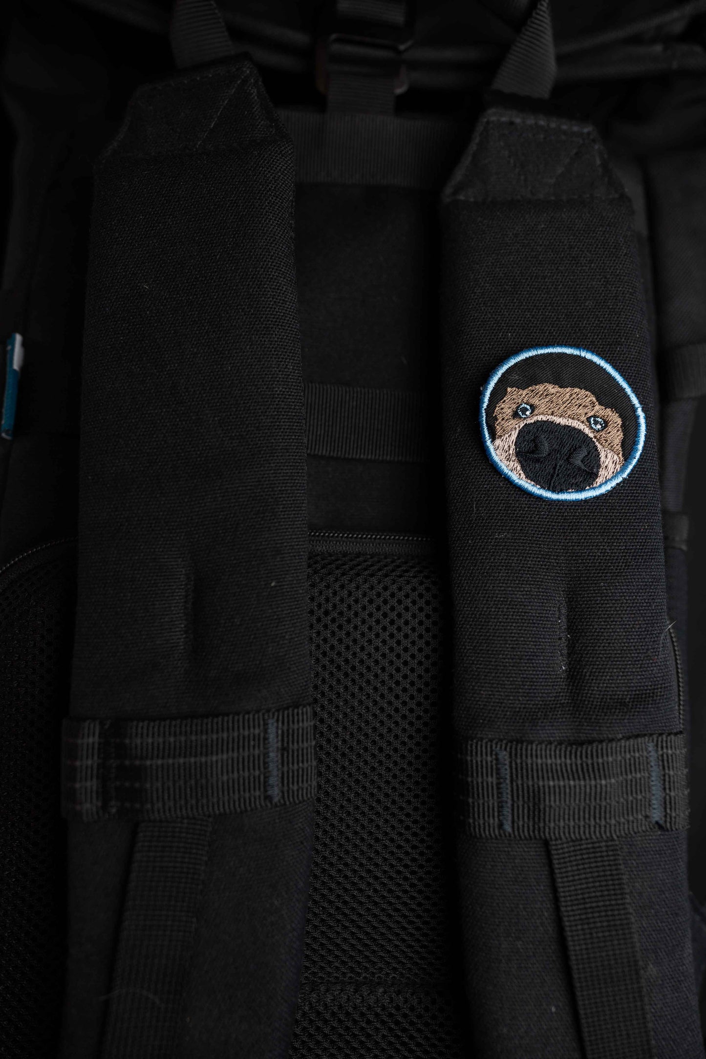Sniff sniff | Pin | Patch