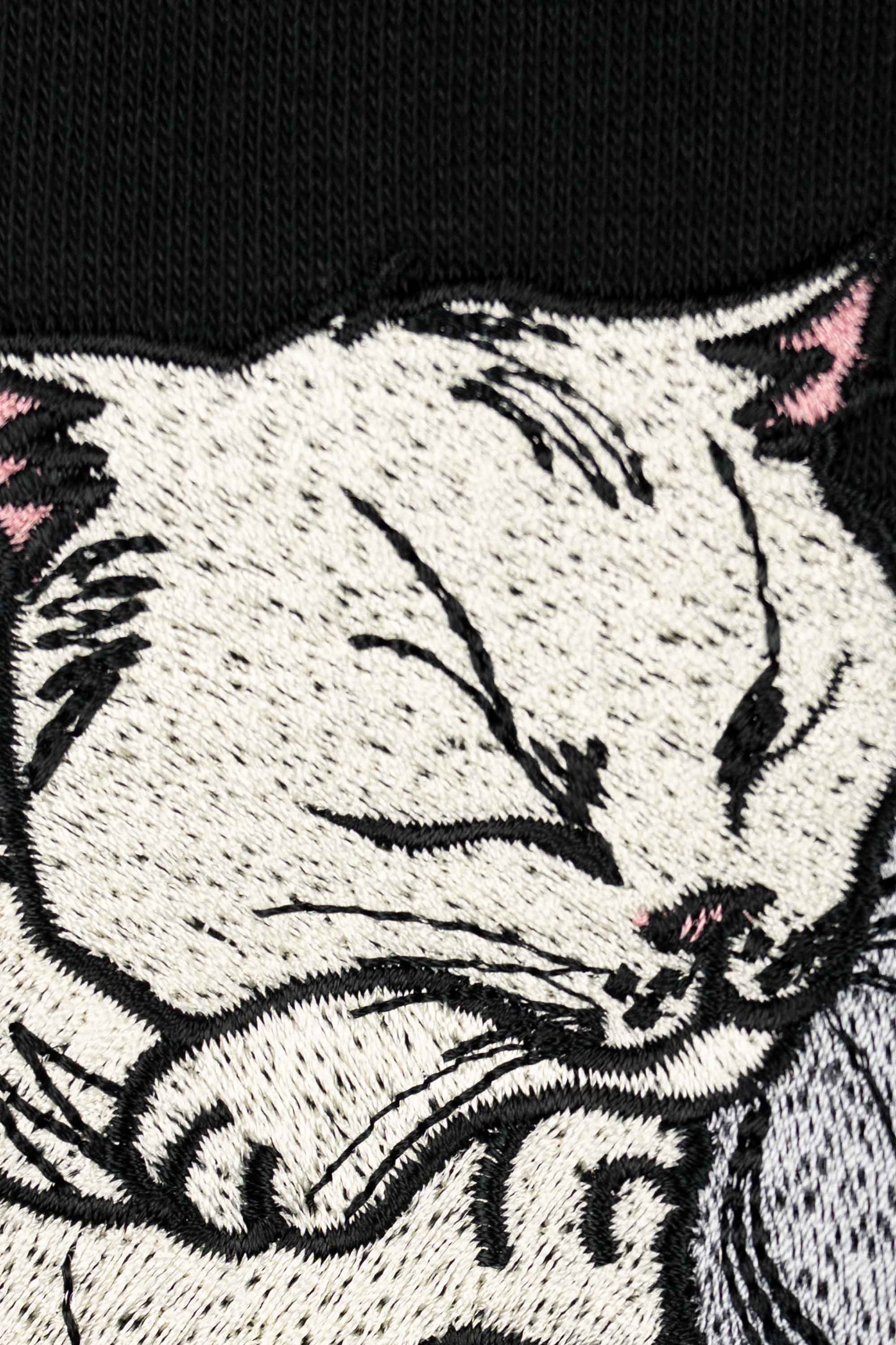 Purrfect balance | Hanorac