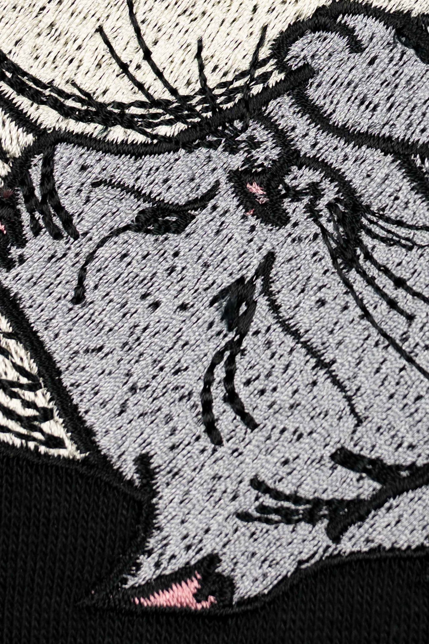 Purrfect balance | Hanorac