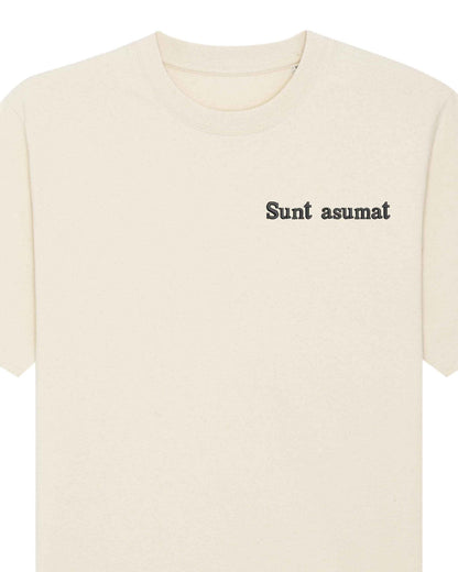 Sunt asumat | Tricou | Hanorac