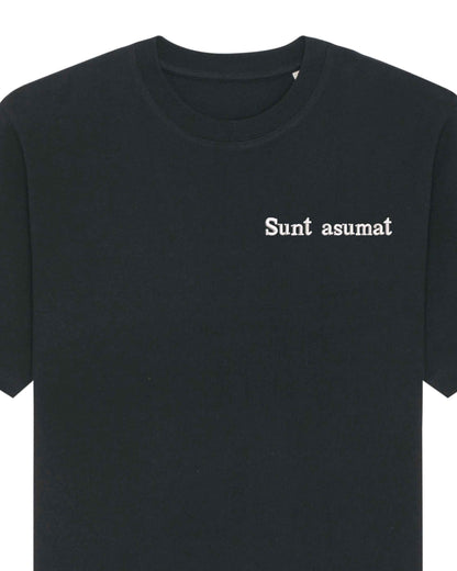 Sunt asumat | Tricou | Hanorac